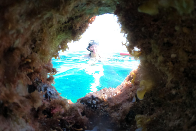 Pafos: Observación de tortugas con esnórquel en moto de mar