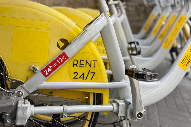 塔林：24小时城市自行车租赁
