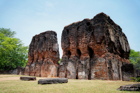 Polonnaruwa: Ancient City Tour & Minneriya Elephant Safari Pickup From Dambulla/Sigiriya/Habarana