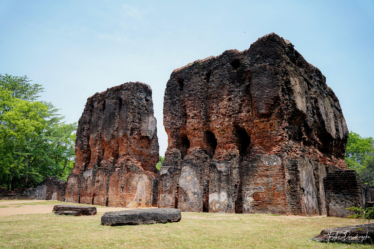 Polonnaruwa: Ancient City Tour & Minneriya Elephant Safari Pickup From Dambulla/Sigiriya/Habarana