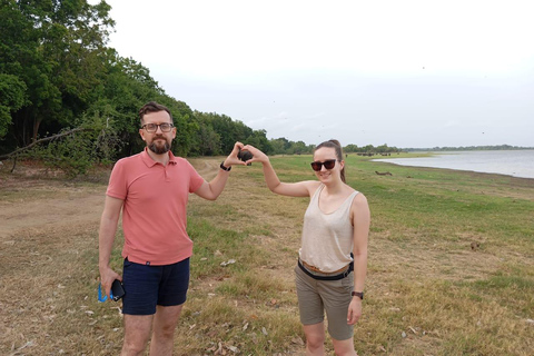 Parque Nacional de Minneriya: Safari de medio día por la mañana o por la tarde