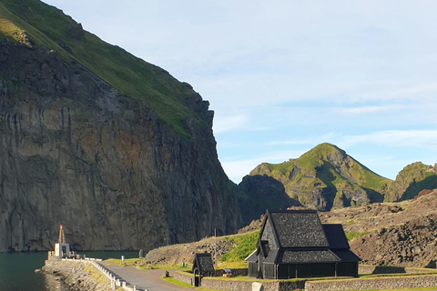 Westman Islands World´s Largest Puffin Colony & Volcano Tour