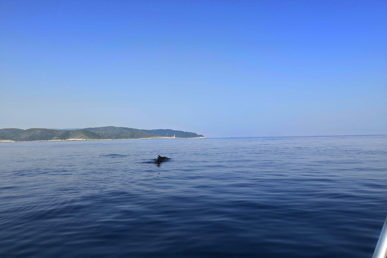 From Hvar: Unforgetable Tour to the Island Vis and Blue Cave