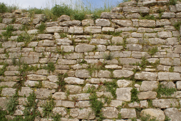 Istanbul: Troy Guided Day Trip with Ferry Ride