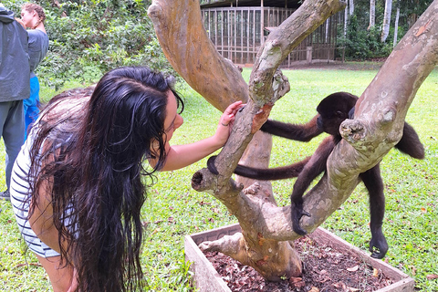 Iquitos: Heldag | Besök på Monkey Island (Officiell)