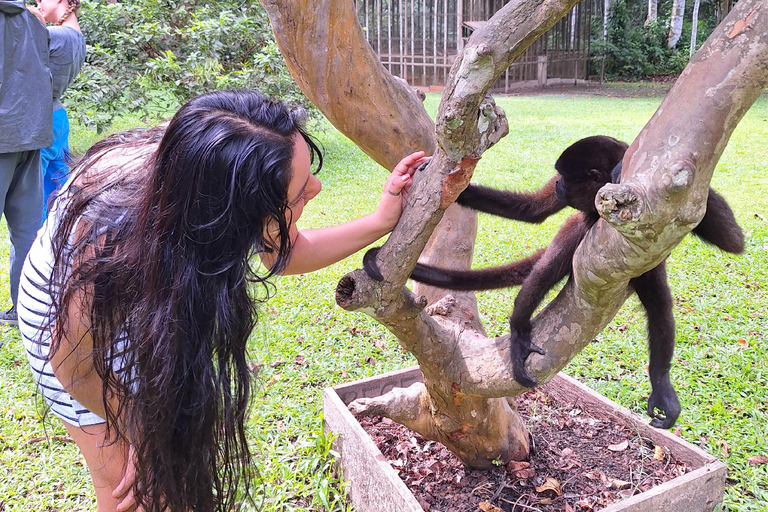 Iquitos: Dia inteiro de visita à Ilha dos Macacos (Oficial)