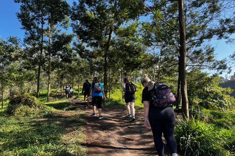 Yogyakarta : aventure de randonnée écotouristique sur le volcan Merapi