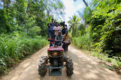 Excursión y safari por el pueblo de Habarana