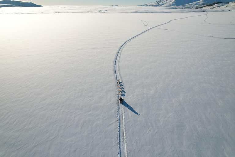 Winter Dog Sledding next to Reykjavik