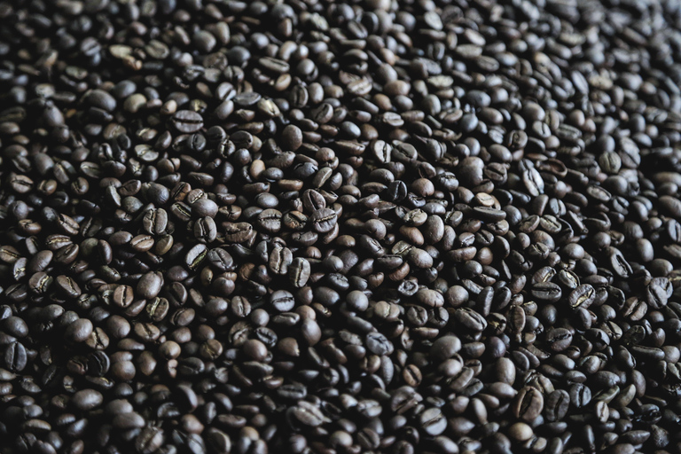 Bogotá to Cali: Private Luxury Journey through the Andes and Coffee