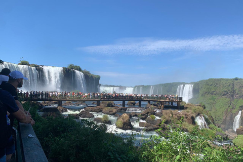 Foz do Iguaçu: Falls, Bird Park, & Three Borders Tour