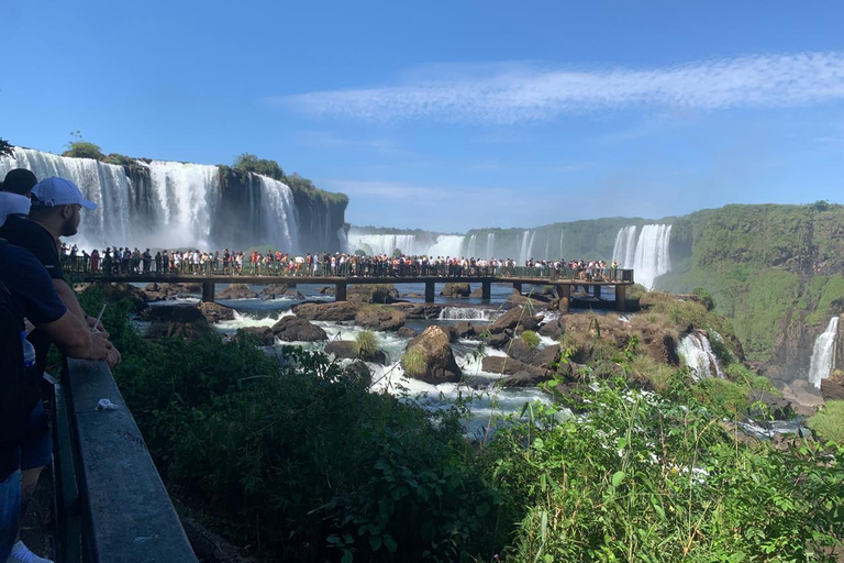Foz do Iguaçu: Falls, Bird Park, & Three Borders Tour