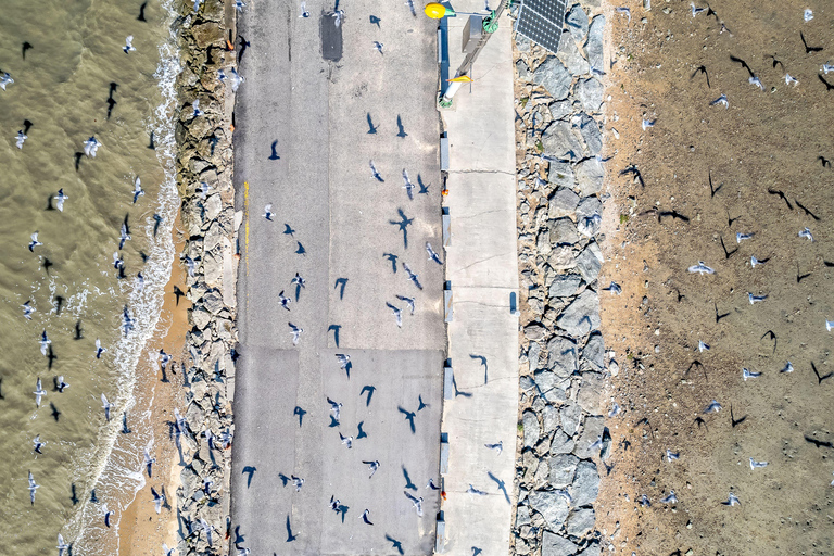 Seúl: Teleférico de Seohaerang, Cueva de Gwangmyeong, etc (EG Tour)Excursión en grupo compartido, encuentro en la estación Hongik Univ