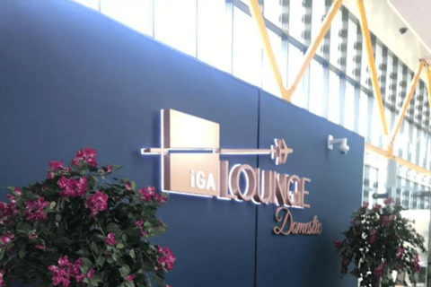 伊斯坦布尔：伊斯坦布尔机场 IGA 贵宾休息室访问权限国内航站楼 国内出发：IGA休息室