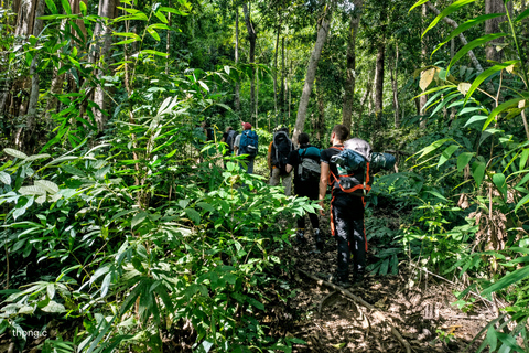 Phnom Penh: Kirirom National Park Day Trip with Lunch