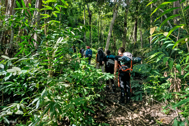 Phnom Penh: Kirirom National Park Day Trip with Lunch