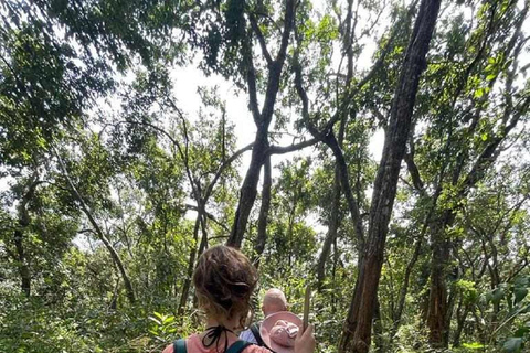 De Chiang Mai: Caminhada em Doi Saket com almoço