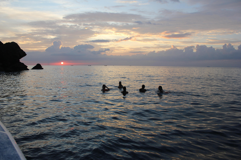 Ko Phi Phi Don : Excursion en bateau rapide avec plongée en apnée avec les requins