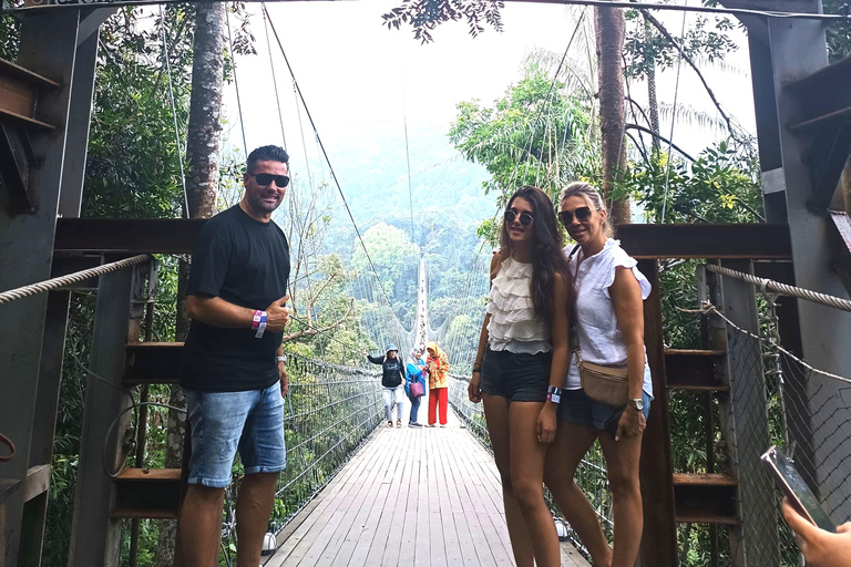 From Jakarta: Situ Gunung Suspension Bridge Day Trip