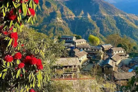 Pokhara: Easy Full Day Ghandruk Village Private Tour