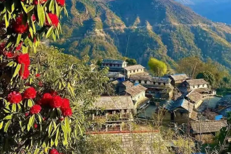 Pokhara: Easy Full Day Ghandruk Village Private Tour