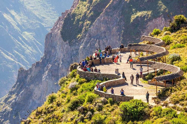 Viagem de 1 dia ao Canyon do Colca saindo de Arequipa Partida às 8h