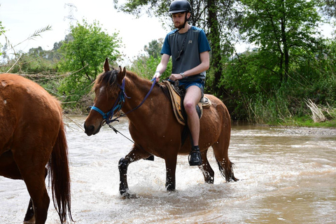 Marmaris: Horseback Riding Tour with Hotel Pickup