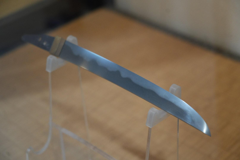 Hiroshima Early Morning Peace Memorial Tour with Guide