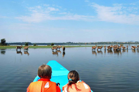 3Días Masai Mara y Naivasha Paseo en barco Camping en grupo