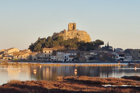 Gruissan : du Nouveau Port au Vieux Village