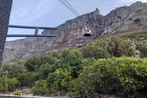 Città del Capo: Tour di mezza giornata della Table Mountain con giro in funivia