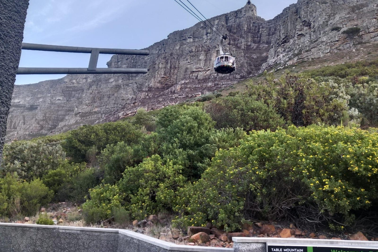 Cape Town: Table Mountain Half-Day Tour with Cable Car Ride