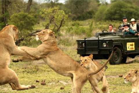 1/2 Day Tala Game Reserve & Natal Lion Park Tour from Durban