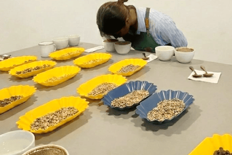 Bogota: Coffee Cupping and Sensory Art Workshop Premium Experience with Lunch