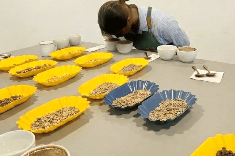 Bogota: Coffee Cupping and Sensory Art Workshop Premium Experience with Lunch