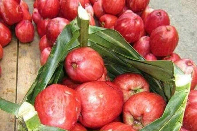 Zanzibar: Kryddtur och Jozani-skogen