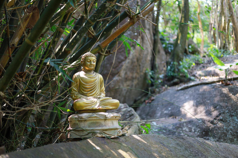 Da Nang: Hot Spring Park Entry with Lunch and Dinner