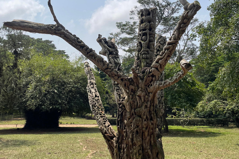 غانا: 3 أيام لمشاهدة معالم المدينة