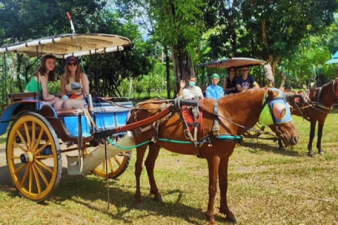 From Yogyakarta: Borobudur Temple & Candirejo Village Tour Shared Group Tour without Tickets