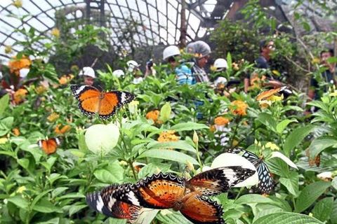 Zanzibar: Jozani Forest, Tortoise Park, & Butterfly Tour Private tour without hotel pick up and drop off