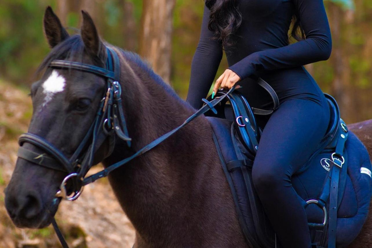 Addis Abeba Entoto Mtn: Reiten, Paintball und ZiplineEntoto Mtn: Reiten, Paintball und Zipline-Hochseilgarten