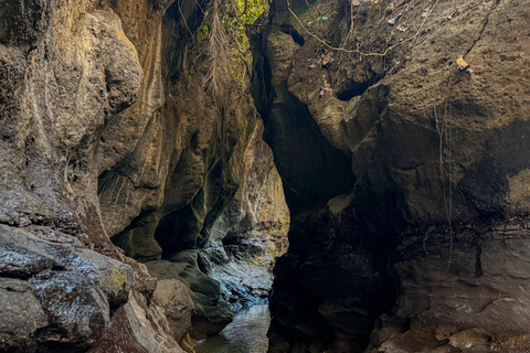 Ubud: Hidden Canyon Beji Guwang Guided Tour Small Group Tour (Meeting Point at Ubud Palace)