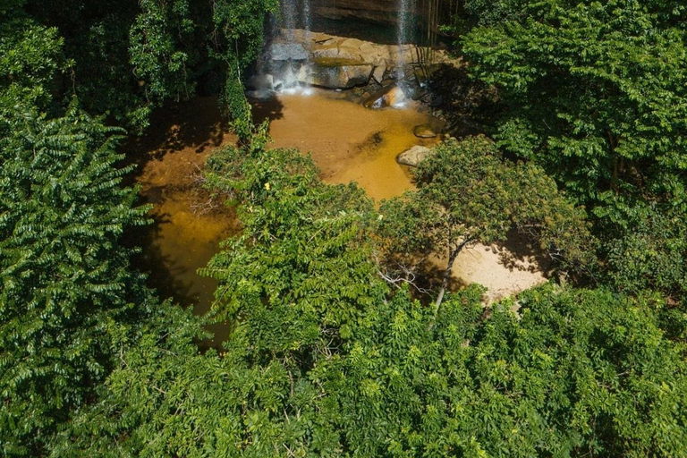 Diani/ Mombasa: Private Shimba Hills Day Safari