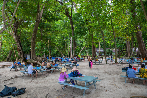 Ilha Similan - SnorkelingOpção de lancha