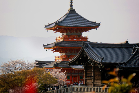 Kyoto: Private Guided Tour With Vehicle and Optional Add-Ons