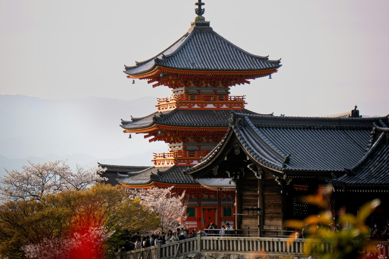 Kyoto: Private Guided Tour With Vehicle and Optional Add-Ons