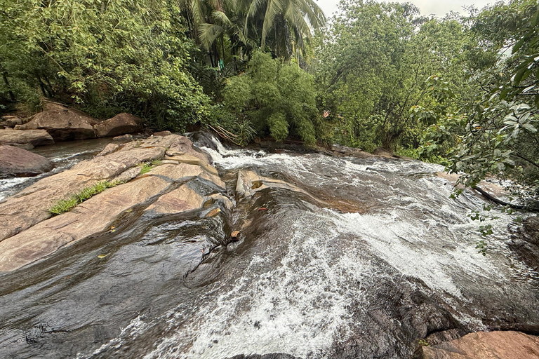 From Colombo: Cave Temples, Jungle Trek & Waterfall Swim
