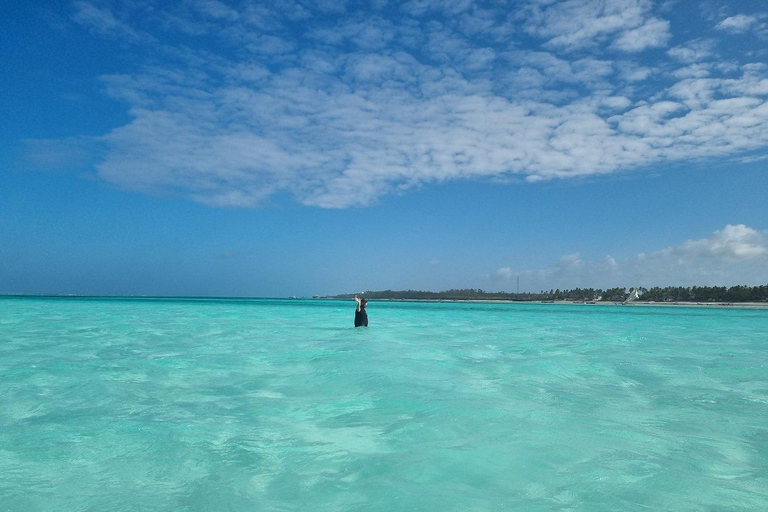 Group Tour Zanzibar: Safari Blue Snorkeling Trip with Lunch