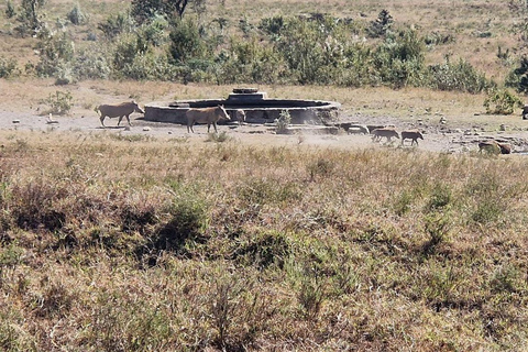 Nairobi: Hell's Gate National Park and Lake Naivasha Tour