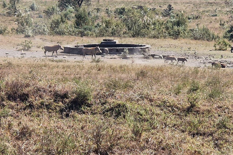 Nairobi: Hell's Gate National Park and Lake Naivasha Tour